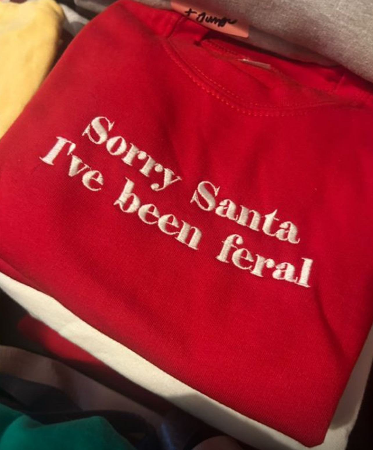 Sorry Santa, I’ve been fell